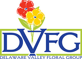 DVFG_logo